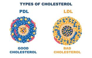 Cholesterintypen eingestellt vektor