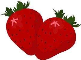 färsk jordgubbe, illustration, vektor på vit bakgrund