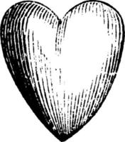 hjärta, årgång illustration. vektor