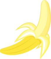 frische Banane, Illustration, Vektor auf weißem Hintergrund