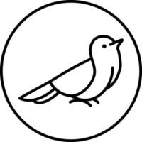 gökar fågel, illustration, på en vit bakgrund. vektor