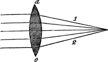 divergerande strålar från en dubbel- konvex lins, årgång illustration. vektor