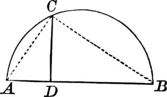 rätt triangel i semi cirkel, årgång illustration. vektor