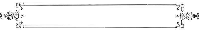 filigran baner har en dubbel- linje gräns, årgång gravyr. vektor