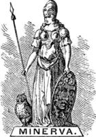 minerva årgång illustration. vektor