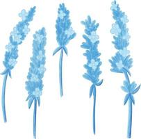 satz aquarellblume, blaue flora clipart vektor