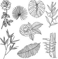 satz von blumen- und blattlinienkunst, flora clipart vektor