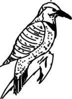 Vogelzeichnung, Illustration, Vektor auf weißem Hintergrund.