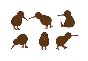 Kiwi fågel vektor uppsättning