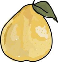 gul pomelo, illustration, vektor på vit bakgrund.