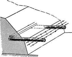 fraise, årgång illustration vektor