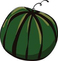 große Wassermelone, Illustration, Vektor auf weißem Hintergrund.