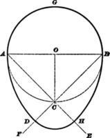 oval, årgång illustration. vektor