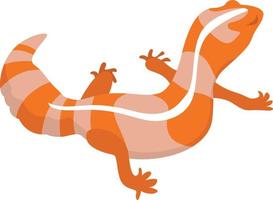 orangefarbene Eidechse, Illustration, Vektor auf weißem Hintergrund