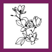 magnolia skiss design tillverkad på en vit bakgrund vektor