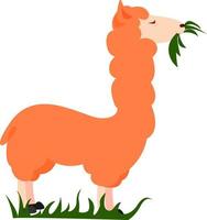 orange lama, illustration, vektor på vit bakgrund.