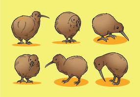 Kostenlose Kiwi Vogel Icons Vektor
