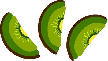 en skivad kiwi frukt, vektor eller Färg illustration.