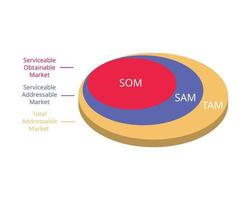 Tam Sam Som ist eine Möglichkeit, Ihre Marktstrategie zu dokumentieren und Investoren von der Rendite zu überzeugen vektor