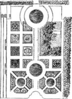jord planen av de tuilerier trädgård, tid av Louis xiii, årgång illustration. vektor