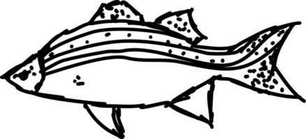 fisk teckning, illustration, vektor på vit bakgrund.