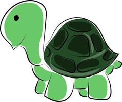 Grüne kleine Schildkröte, Illustration, Vektor auf weißem Hintergrund.