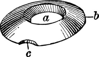 quoit årgång illustration. vektor