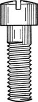 Maschinenschraube mit rundem Kopf, Vintage-Illustration. vektor