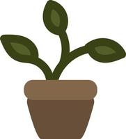 Pothos-Pflanze im Topf, Illustration, auf weißem Hintergrund. vektor