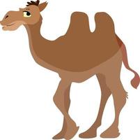 brun kamel, illustration, vektor på vit bakgrund.