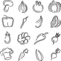 Bio-Gemüse, Illustration, Vektor auf weißem Hintergrund