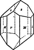 Kristall der Augitweinleseillustration. vektor