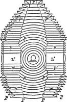 Holofotolicht, Vintage-Illustration. vektor