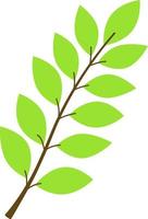 Vektor-Illustration eines grünen Herbst-Zweigs. Herbstzweig von grüner Farbe. eine Idee für ein Logo, Modeillustrationen, Zeitschriften, Kleidungsdruck, Werbung, Malbücher, Tattoo-Skizze oder Mehen vektor