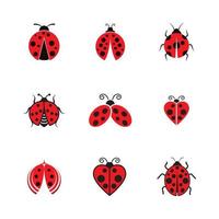 skönhet insekt vektor illustration ikon