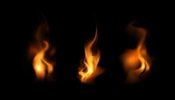 realistische helle flammen des feuers auf schwarzem hintergrund vektor