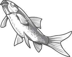endangered hav fisk svart och vit teckning. för illustrationer och färg böcker vektor