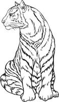 Tiger Schwarz-Weiß-Zeichnung. für Illustrationen und Malbücher vektor