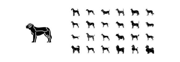 Sammlung von Ikonen im Zusammenhang mit Hunderassen, darunter Ikonen wie Airedale, American Staffordshire und mehr. vektorillustrationen, pixelperfekter satz vektor