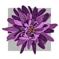 lila hand dragen dahlia blomma. modern platt mode vektor illustration