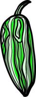 grön peppar, illustration, vektor på vit bakgrund.