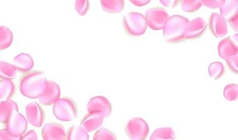 rosafarbene Rosenblätter lokalisiert auf weißem Hintergrund mit Beispieltext-Vektorillustration. Vektor-Illustration von rosa Rosenblättern. vektor