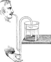 Siphon, Vintage-Illustration. vektor