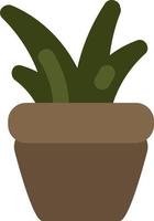 Goldzahn-Aloe im Topf, Illustration, auf weißem Hintergrund. vektor