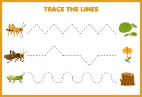 Erziehungsspiel für Kinder Handschriftübung Verfolgen Sie die Linien mit einem niedlichen Cartoon-Heuschrecke- und Pflanzenbild-Druckbares Fehler-Arbeitsblatt vektor