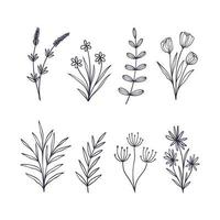 uppsättning av hand dragen botanisk blomma element. vektor illustration isolerat på vit bakgrund