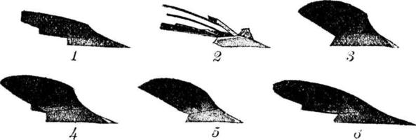 Schar Pflüge, Vintage Illustration. vektor