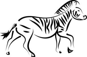 zebra skiss, illustration, vektor på vit bakgrund.