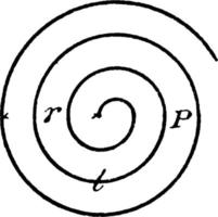 spiralförmige Spiralkurve, Vintage-Illustration. vektor
