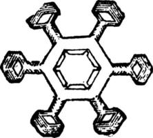 Schneekristalle, Vintage Illustration. vektor